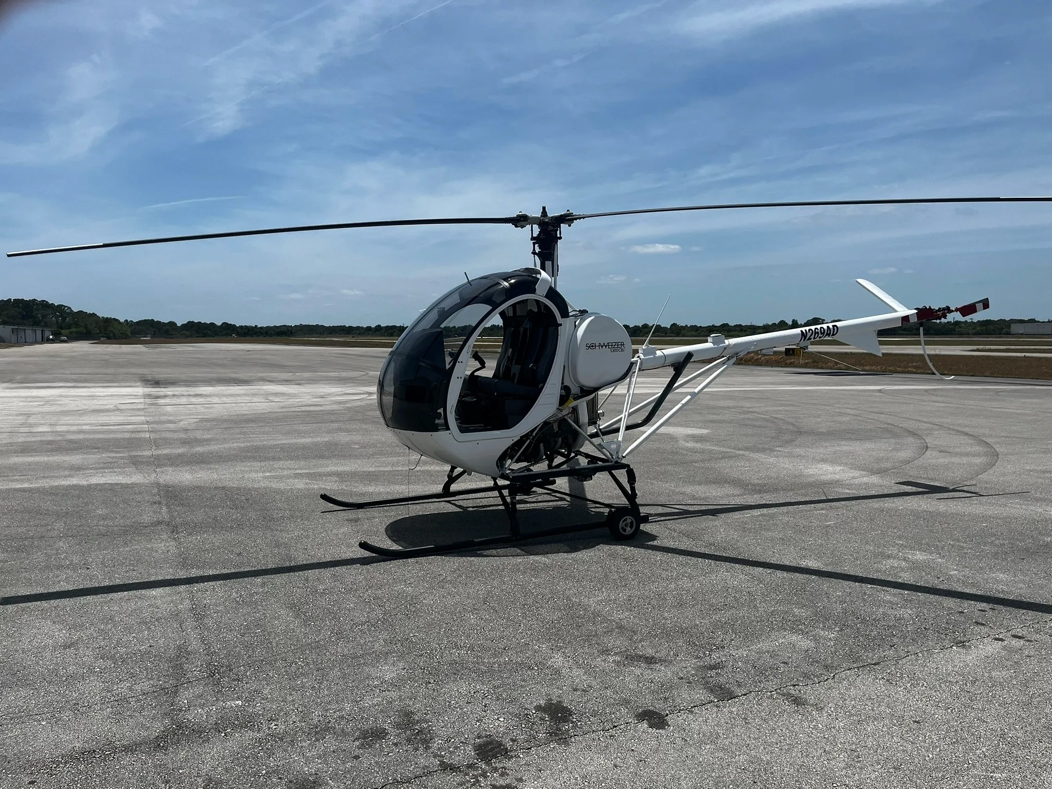 Schweizer S-300