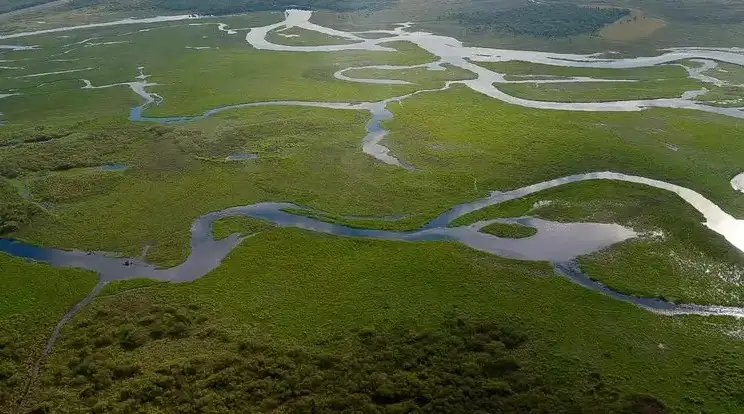 Wildlife and wetlands along the St. Johns River seen from an air tour